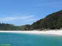 Islas Cies (136)