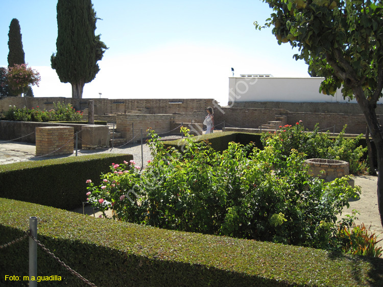 20120828 ITALICA 022