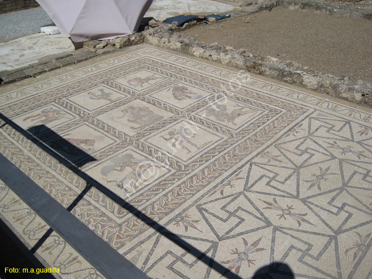 20120828 ITALICA 028