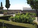 20120828 ITALICA 022