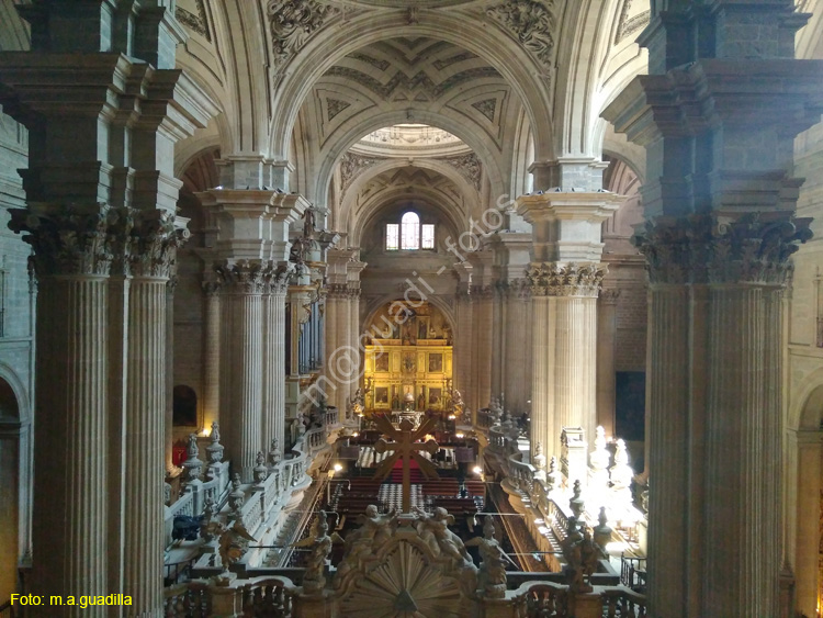 JAEN (157) Catedral - Luisa