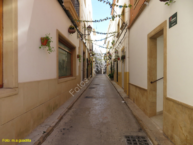 JAVEA (101)
