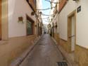 JAVEA (101)