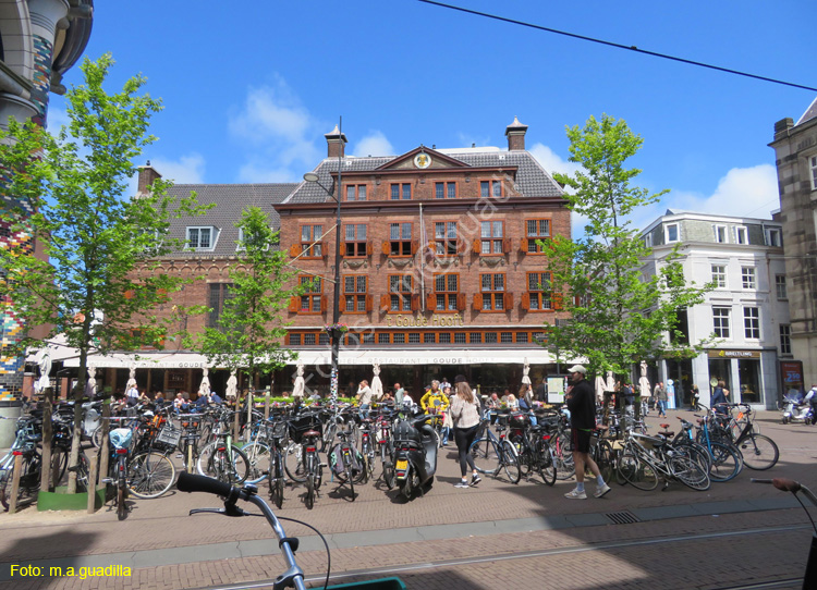 LA HAYA (313) Dagelijkse Groenmarkt