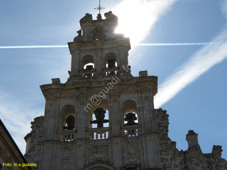 MONASTERIO DE SANTA MARIA DE LA VID (132)