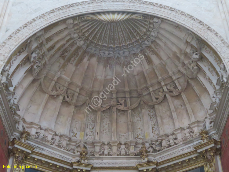 MONASTERIO DE SANTA MARIA DE LA VID (186)