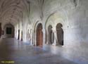 MONASTERIO DE SANTA MARIA DE LA VID (155)