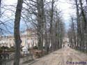 LA GRANJA DE SAN ILDEFONSO 102 - FUENTES Y JARDINES