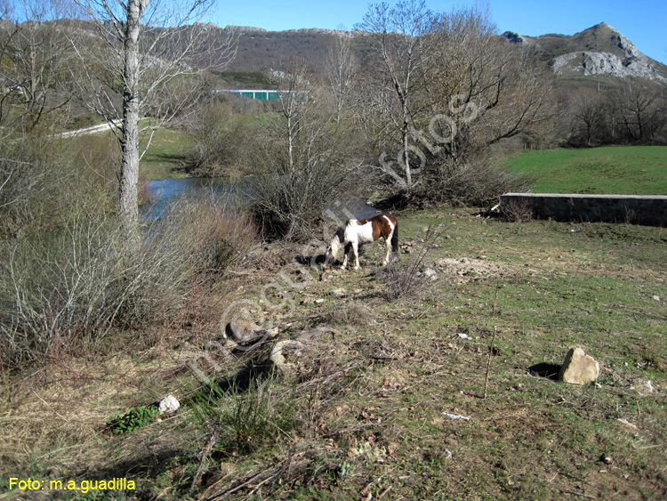 San Salvador de Cantamuda La Pernia - Palencia (126)