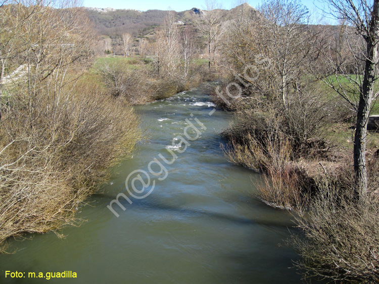 San Salvador de Cantamuda La Pernia - Palencia (127)