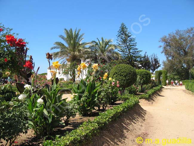 PALOS DE LA FRONTERA - MONASTERIO DE LA RABIDA 051