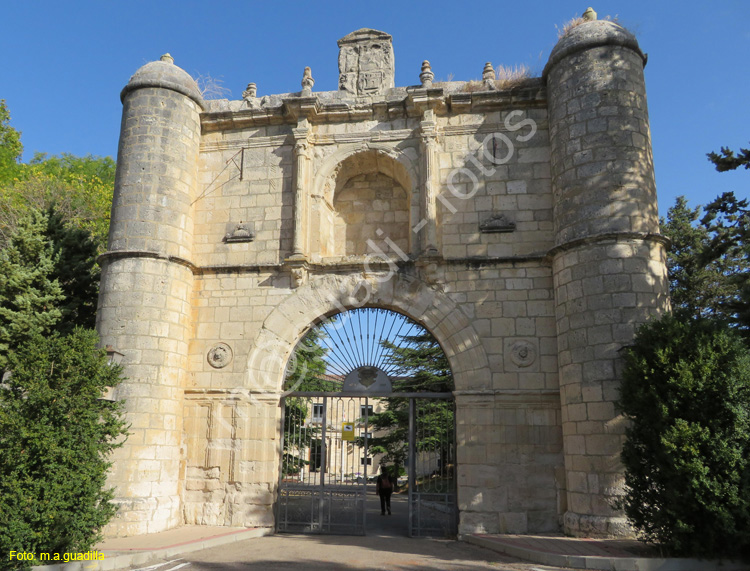 MONASTERIO DE LA SANTA ESPINA (102)