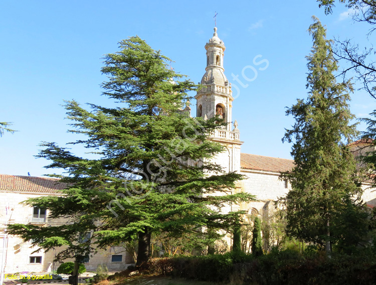 MONASTERIO DE LA SANTA ESPINA (104)