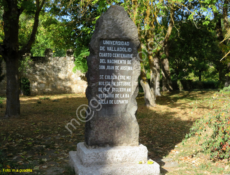 MONASTERIO DE LA SANTA ESPINA (105)