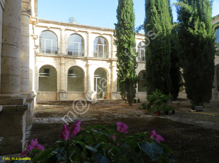 MONASTERIO DE LA SANTA ESPINA (113)