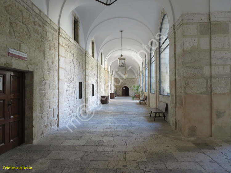 MONASTERIO DE LA SANTA ESPINA (115)