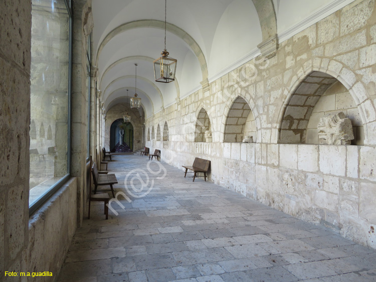 MONASTERIO DE LA SANTA ESPINA (116)