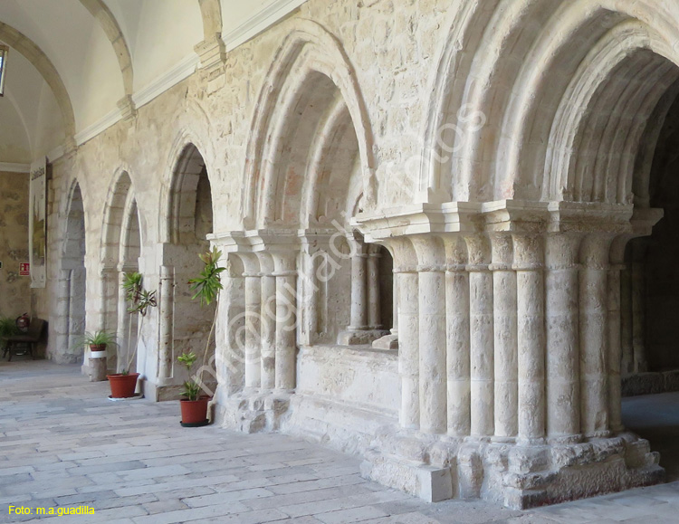 MONASTERIO DE LA SANTA ESPINA (133)