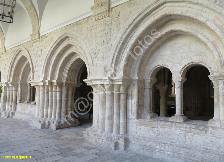 MONASTERIO DE LA SANTA ESPINA (135)