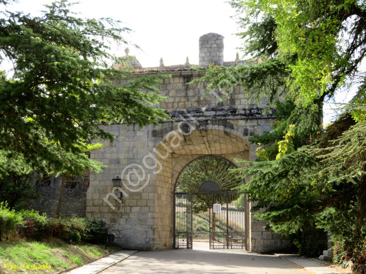 MONASTERIO DE LA SANTA ESPINA (224)