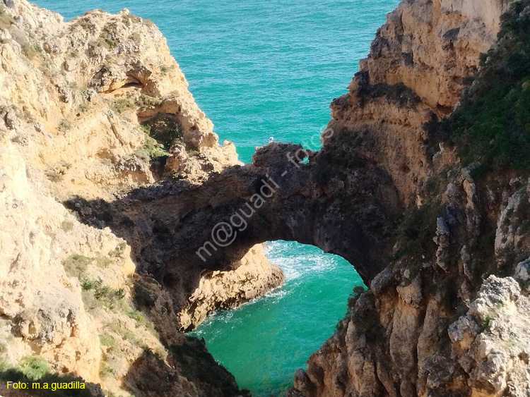 LAGOS (222) Ponta da Piedade
