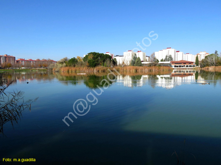 LAGUNA DE DUERO (116)