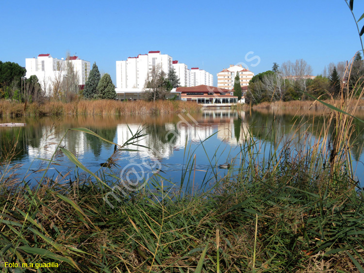 LAGUNA DE DUERO (120)