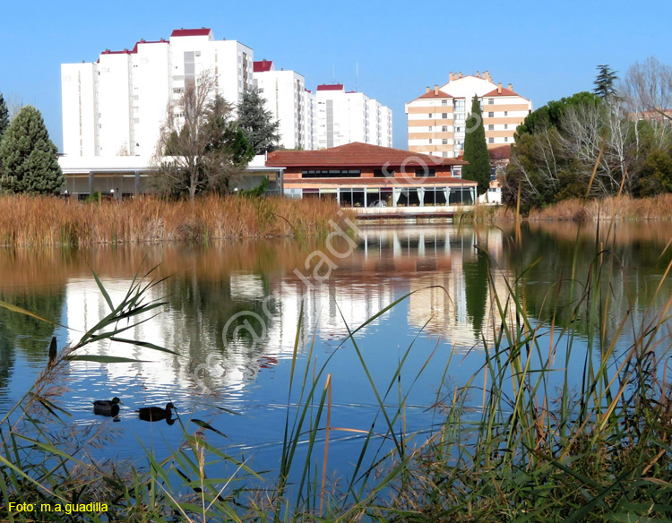 LAGUNA DE DUERO (121)