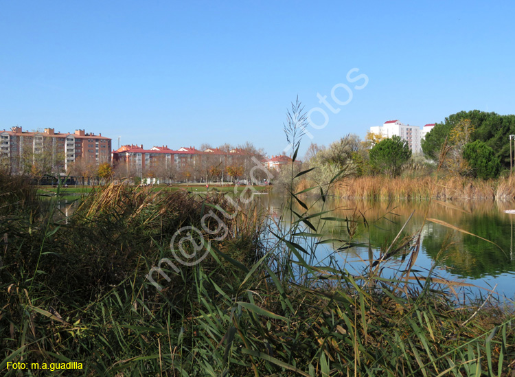 LAGUNA DE DUERO (122)