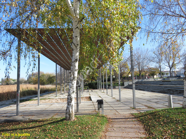 LAGUNA DE DUERO (125)