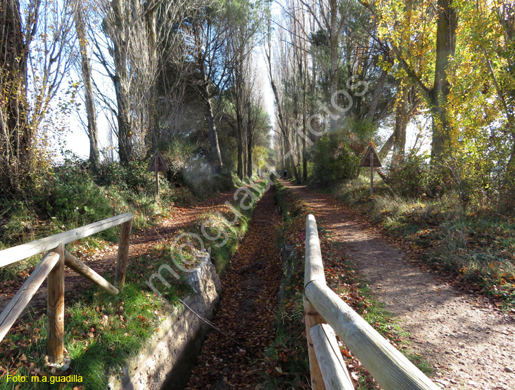 LAGUNA DE DUERO (126)