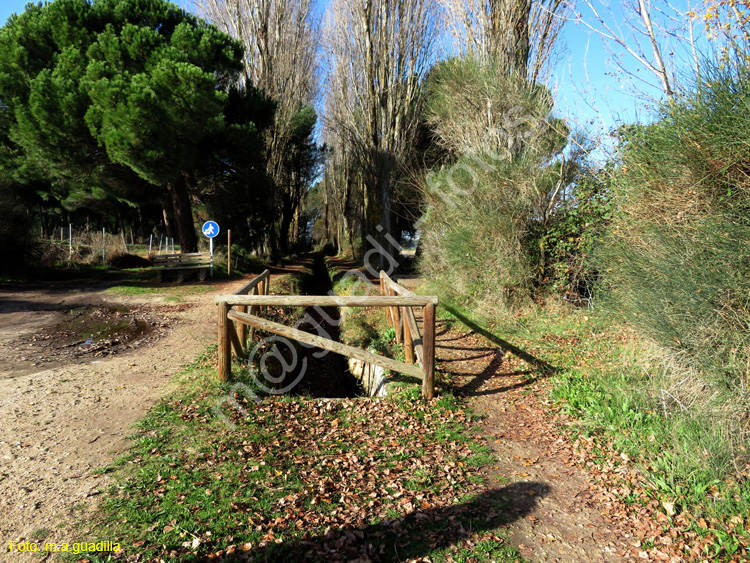 LAGUNA DE DUERO (129)