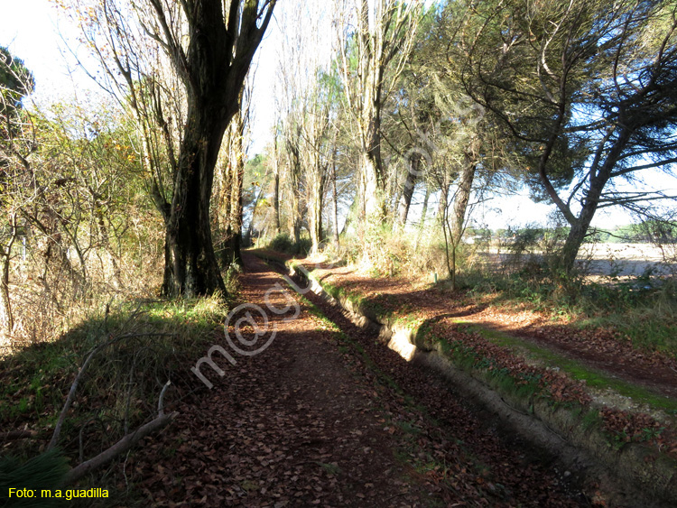 LAGUNA DE DUERO (130)