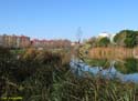 LAGUNA DE DUERO (122)