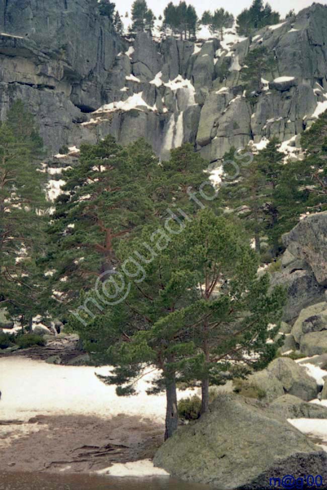 LAGUNA NEGRA - SORIA 003