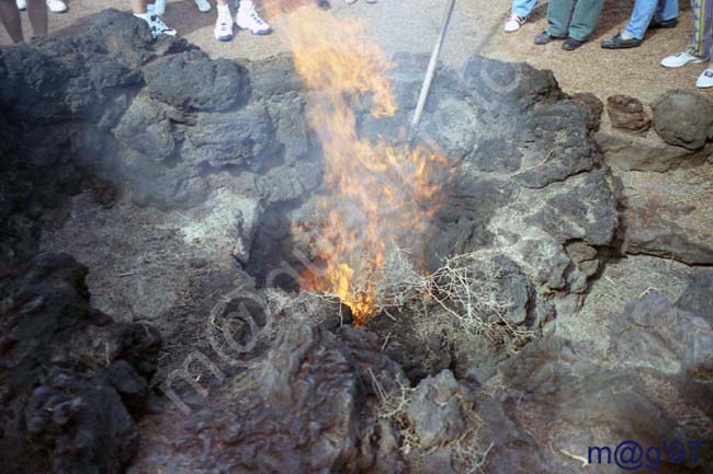 LANZAROTE 017 - TIMANFAYA Islote de Hilario