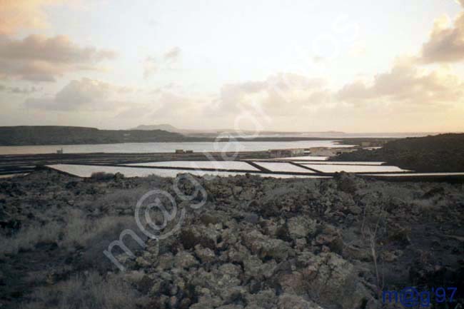 LANZAROTE 050 - Las Salinas de Janubio