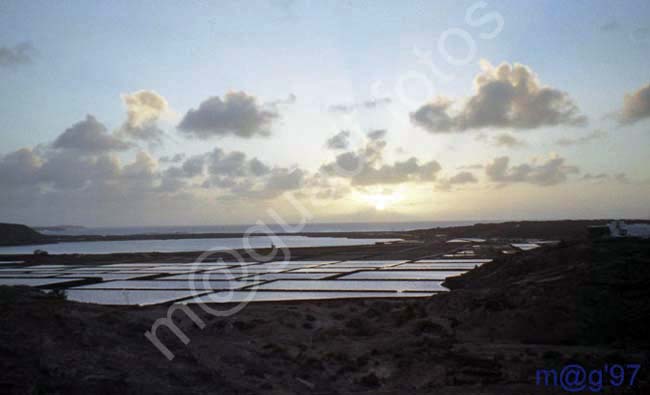 LANZAROTE 051 - Las Salinas de Janubio