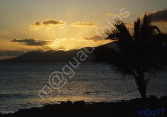 LANZAROTE 099 - Puerto del Carmen