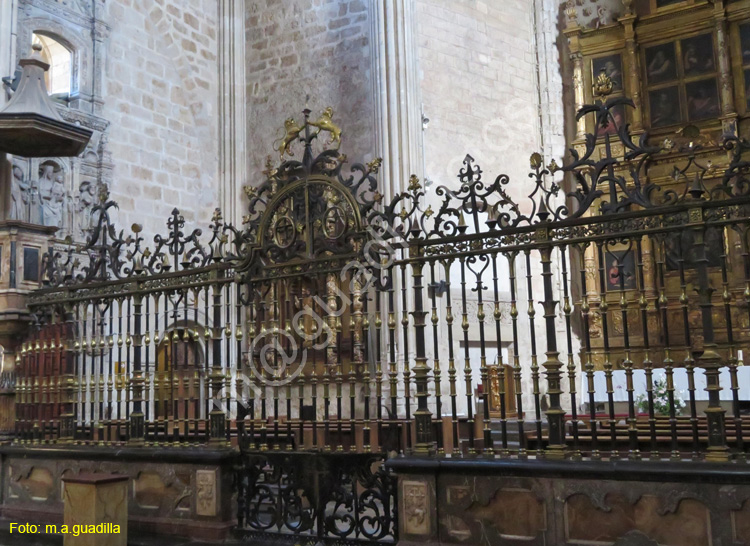 LEON (128) San Marcos