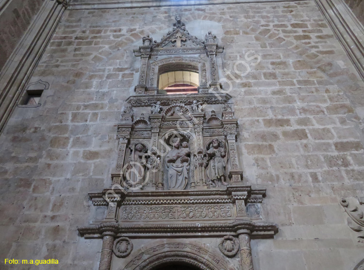 LEON (138) San Marcos