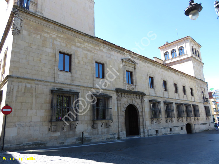 LEON (288) Palacio de los Guzmanes