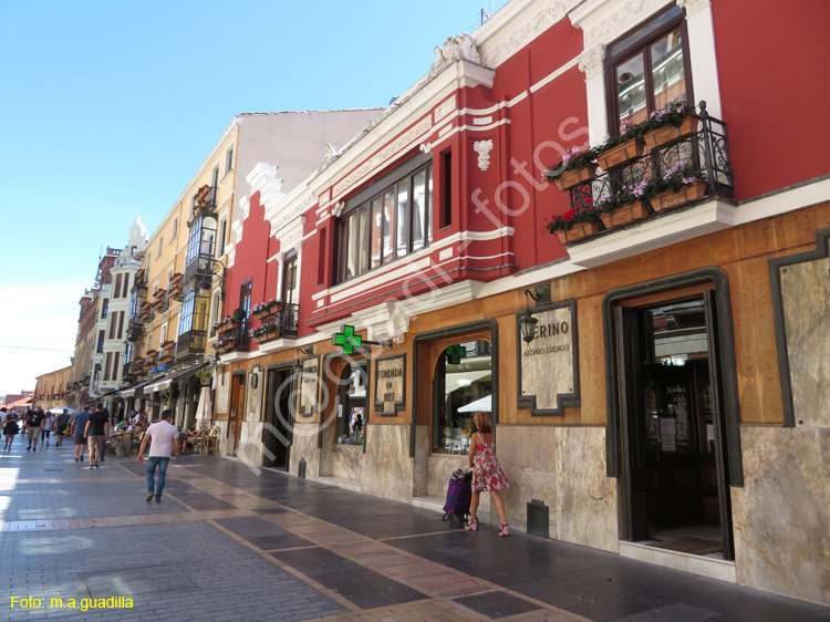 LEON (332) Calle Ancha