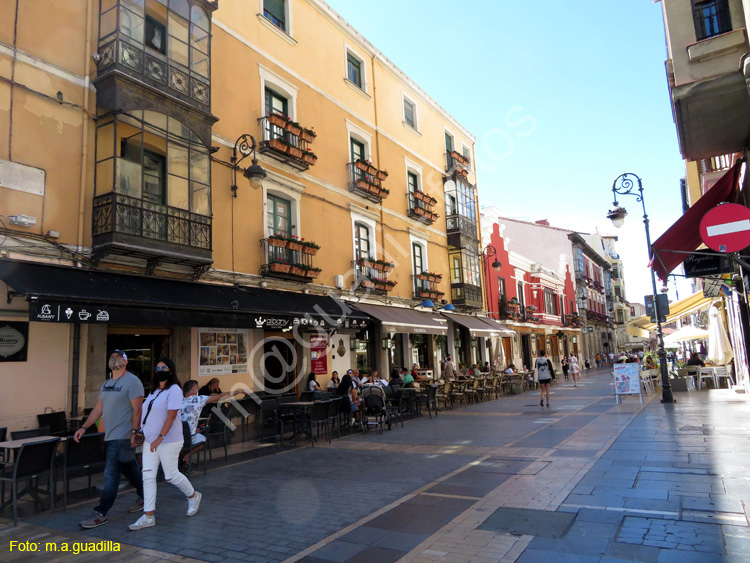 LEON (333) Calle Ancha