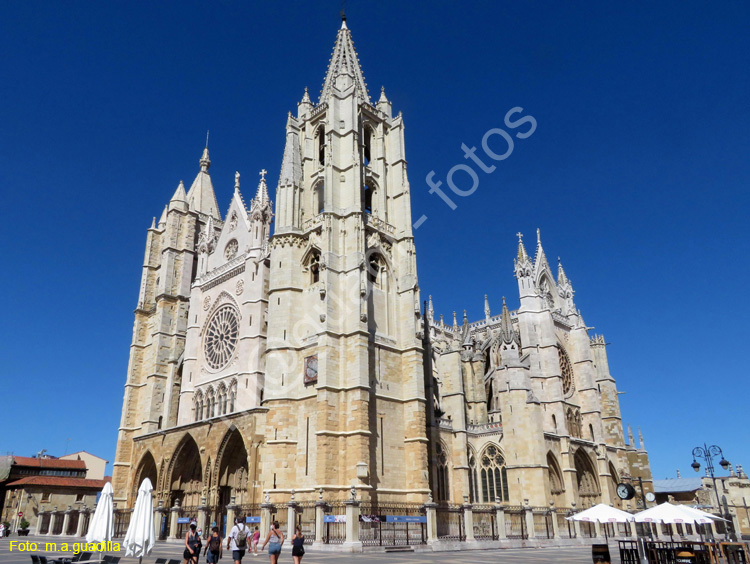 LEON (353) Catedral