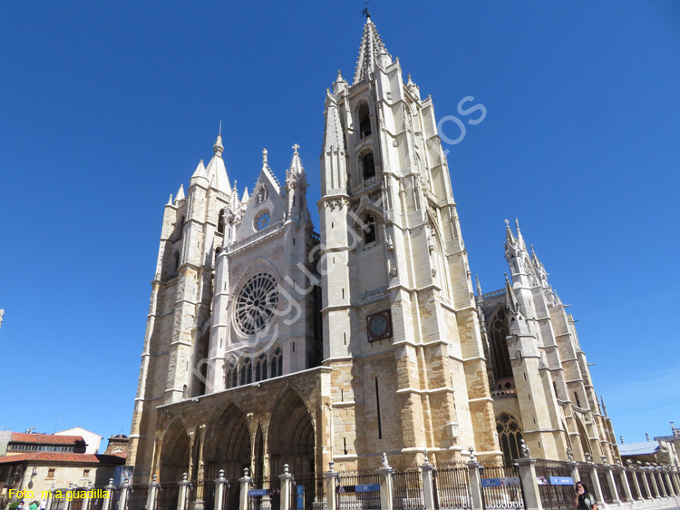 LEON (354) Catedral