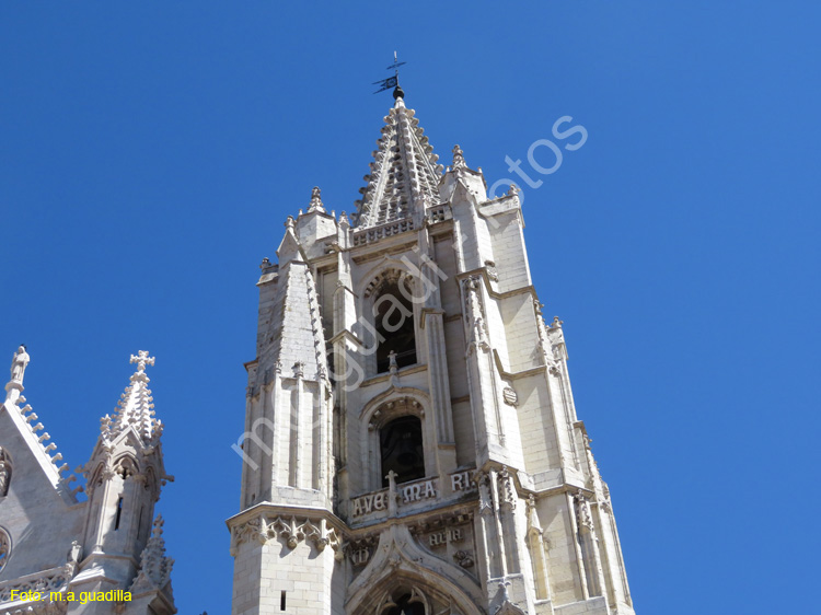 LEON (355) Catedral