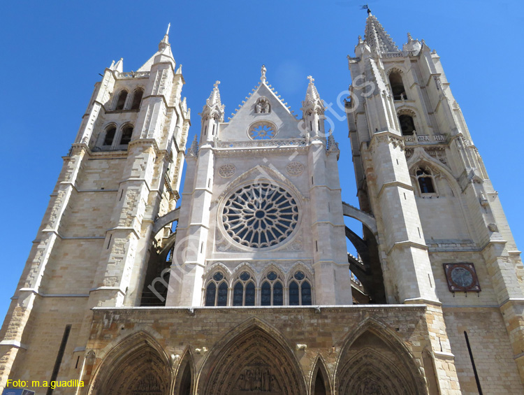 LEON (356) Catedral