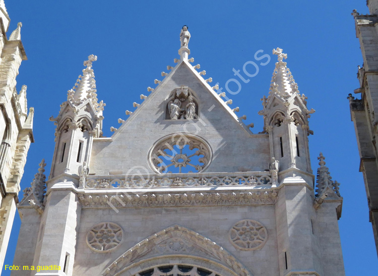 LEON (357) Catedral