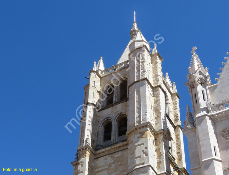 LEON (359) Catedral